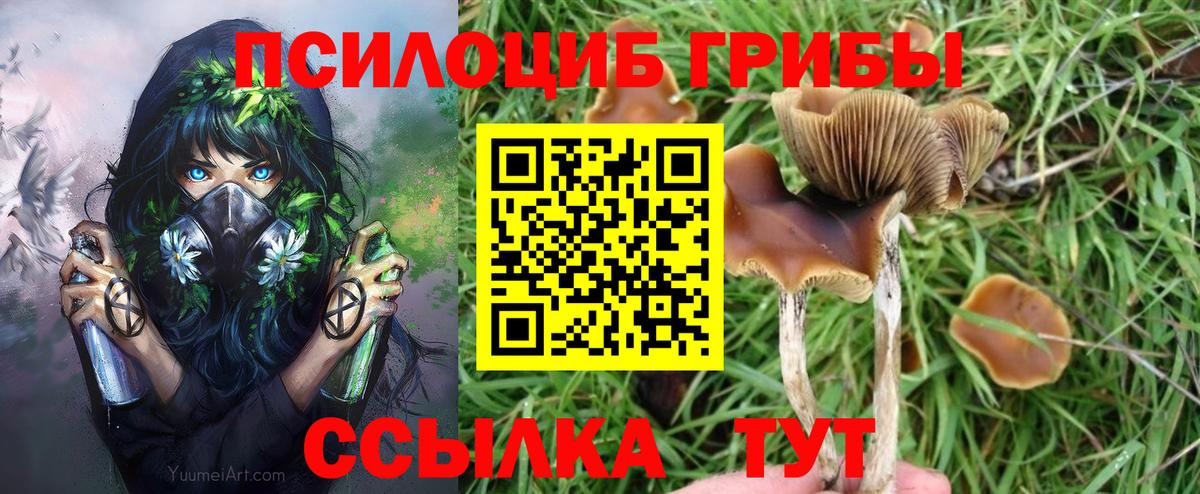 Галлюциногенные грибы GOLDEN TEACHER  Псилоцибиновые грибы MAGIC MUSHROOMS  Елец  Вход с VPN 