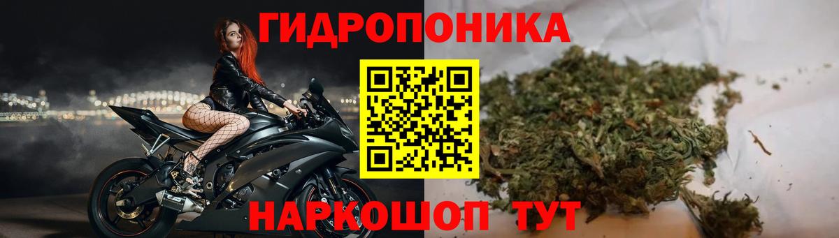 МАРИХУАНА White Widow Елец